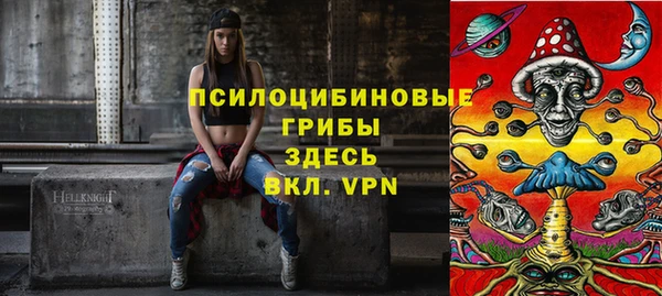 не бодяженный Верхний Тагил
