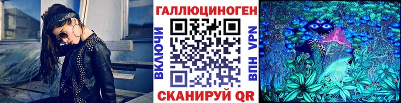 Купить  Ливны  Галлюциногенные грибы Psilocybe 